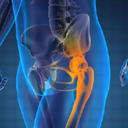 Harnessing the immune system to control prostate cancer spread to bone